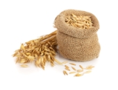 Picture of oat