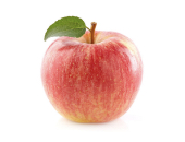 Picture of a apple