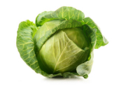Picture of a cabbage