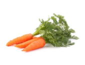 Picture of carrots