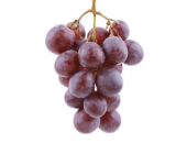 Picture of grapes