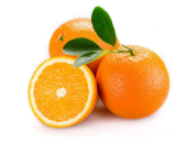 Picture of a orange