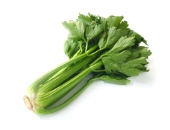 Picture of a celery